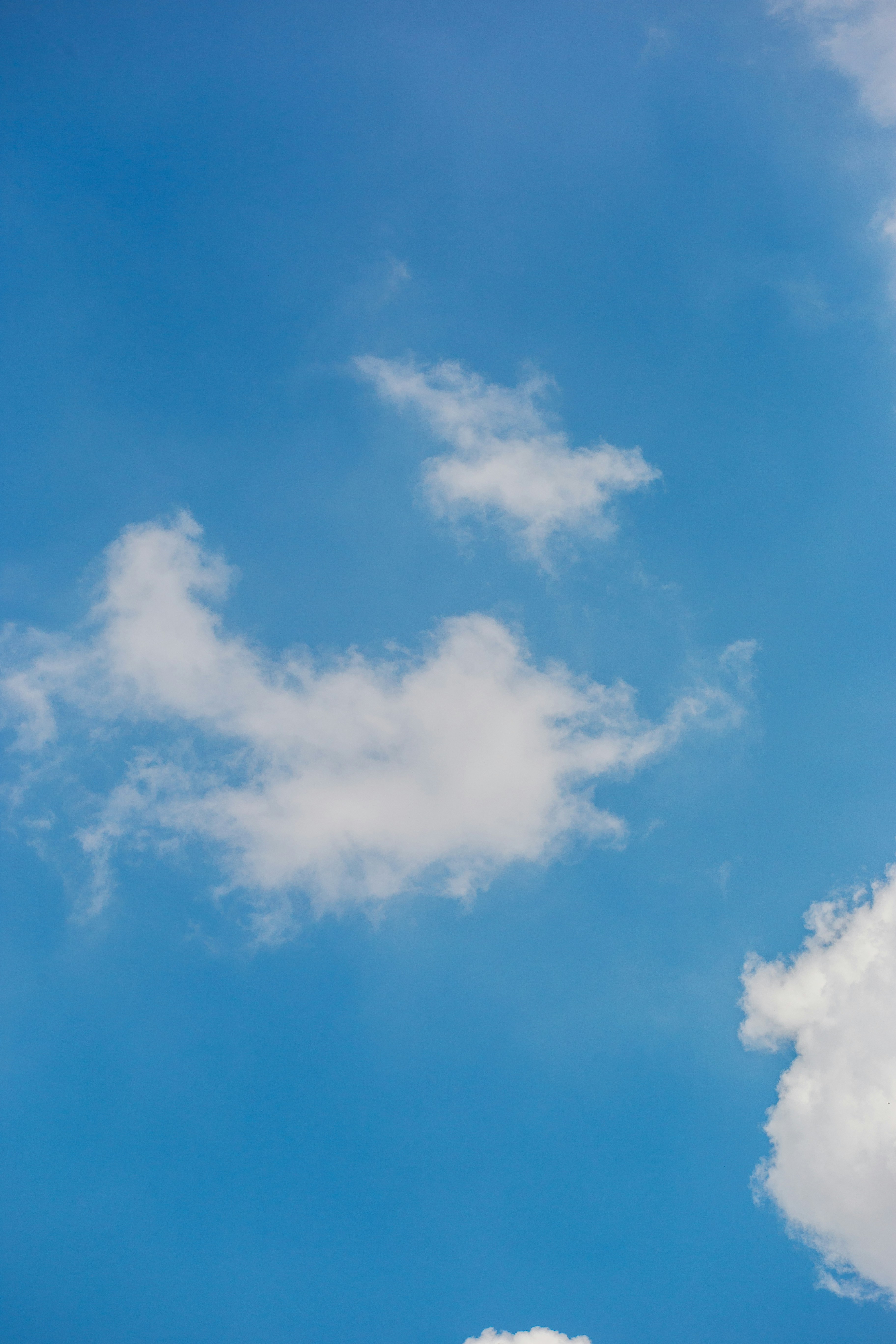 Photo by dylanhendricks