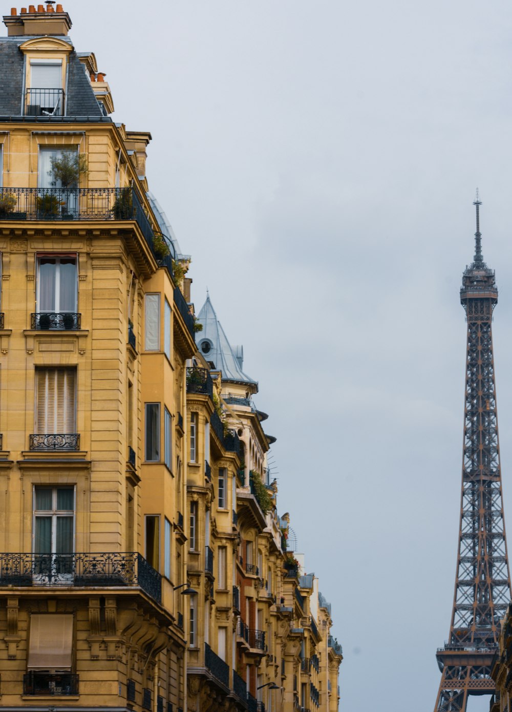 the eiffel tower towering over the city of paris