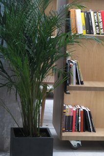 Shelf with our fitness ebooks and accessories styled next to a potted plant and notebook