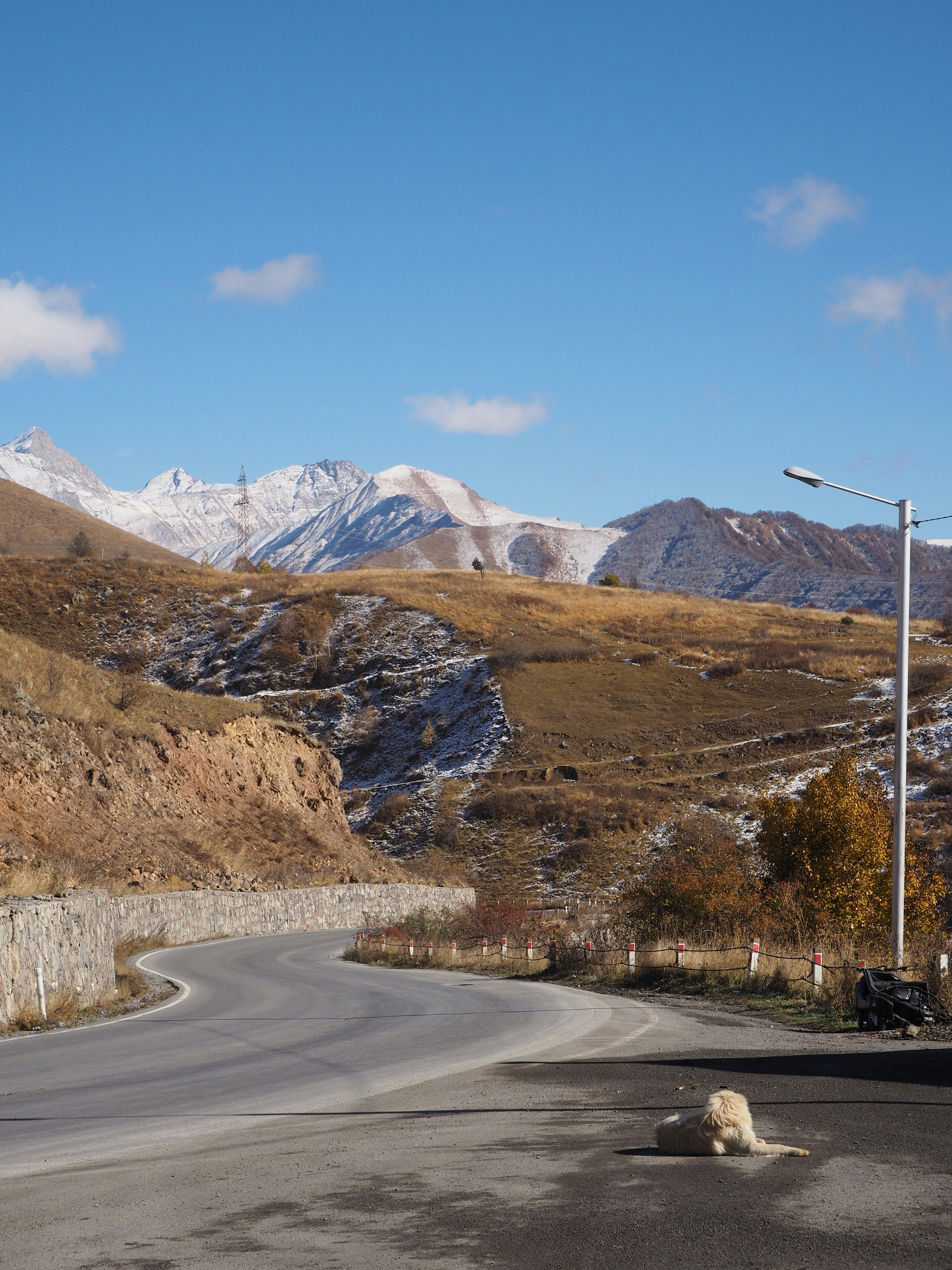 Photo by margaritaloza