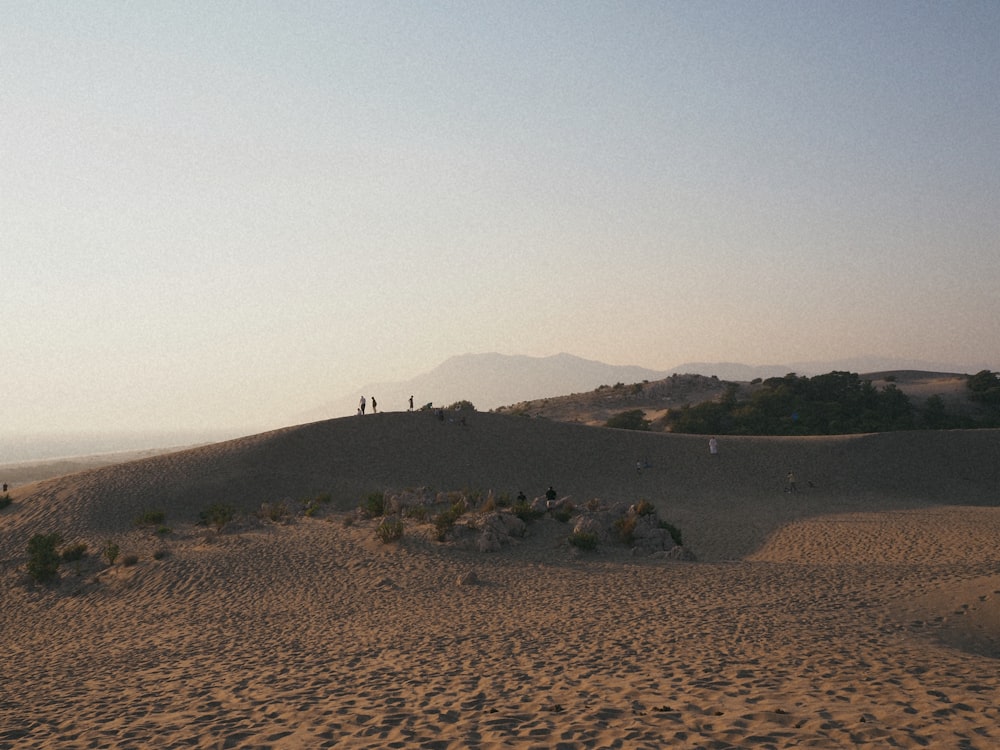 a group of people standing on top of a sandy hill