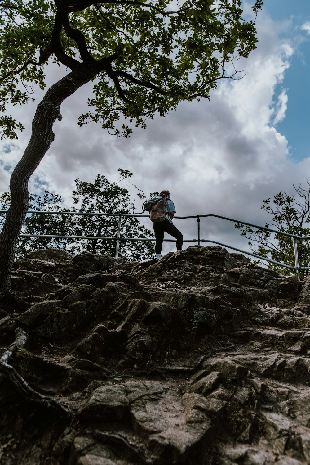 a man walking up a set of stairs next to a tree