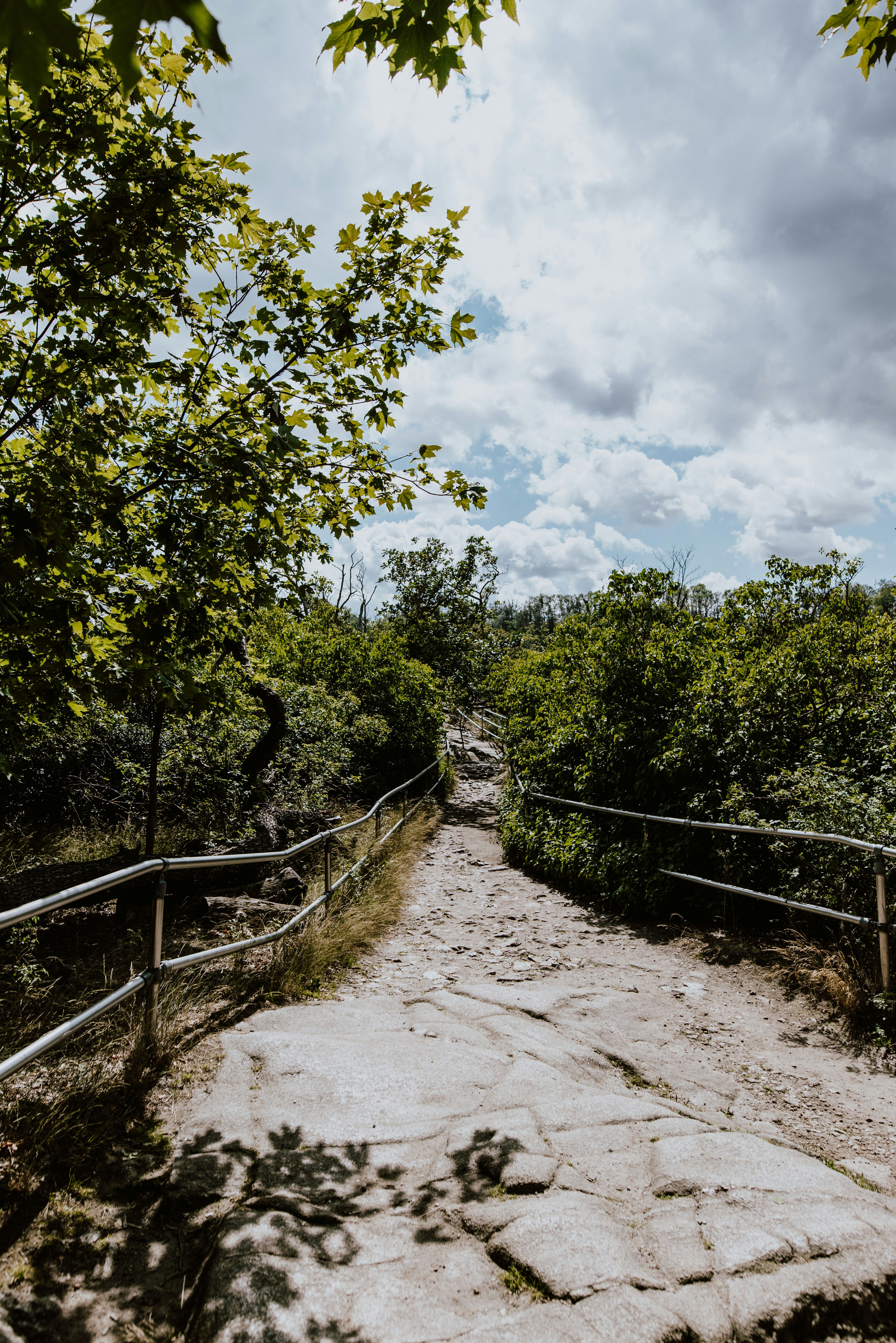 Photo by luana_niemann