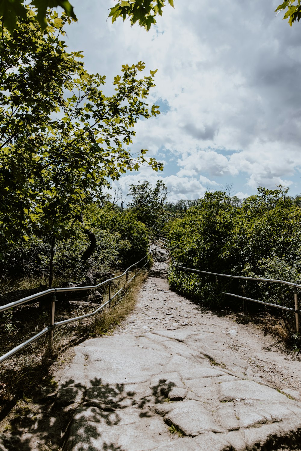 a stone path in the middle of a forest