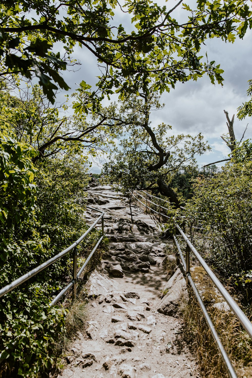 a rocky path with metal railings leading up to the top