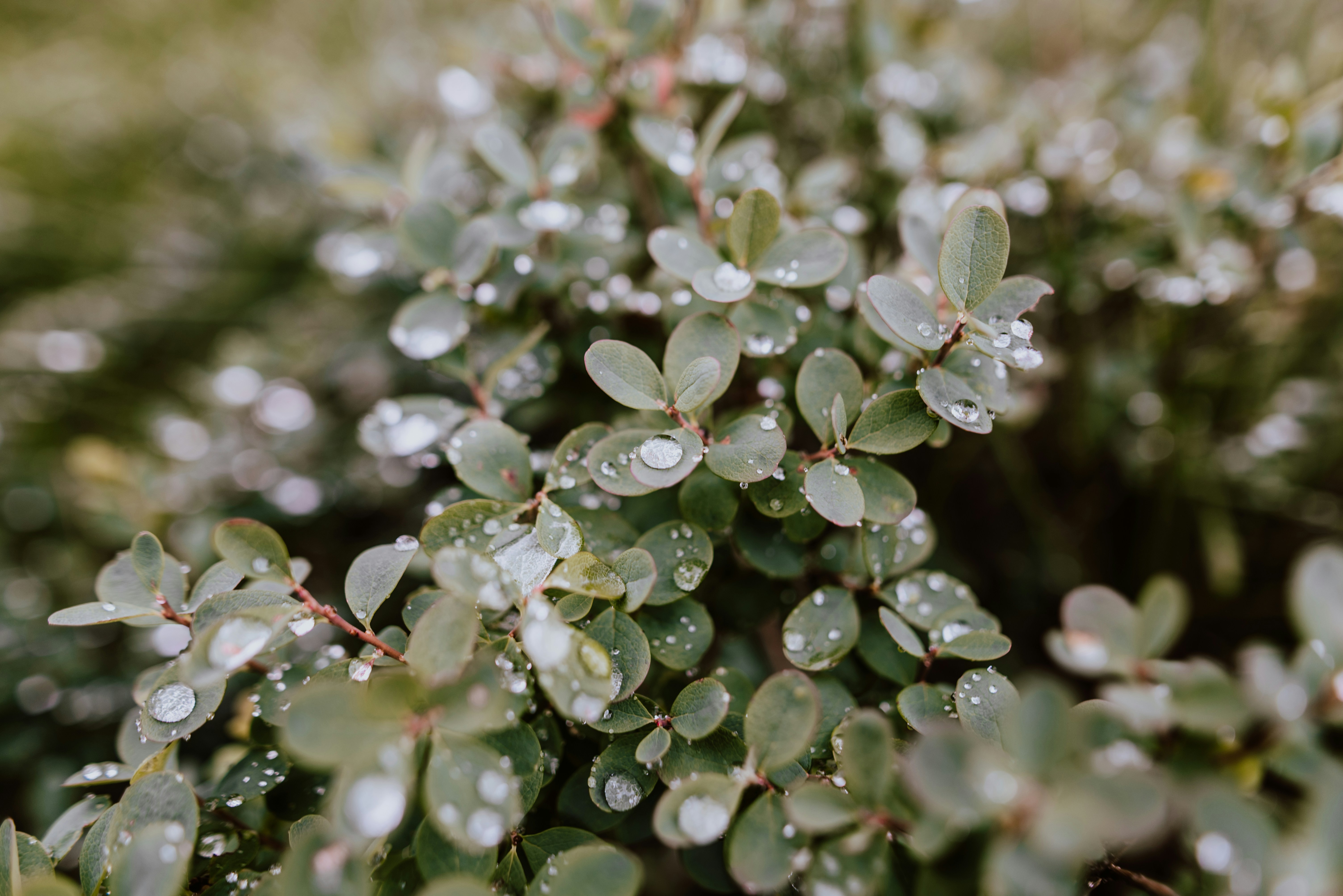 Photo by luana_niemann