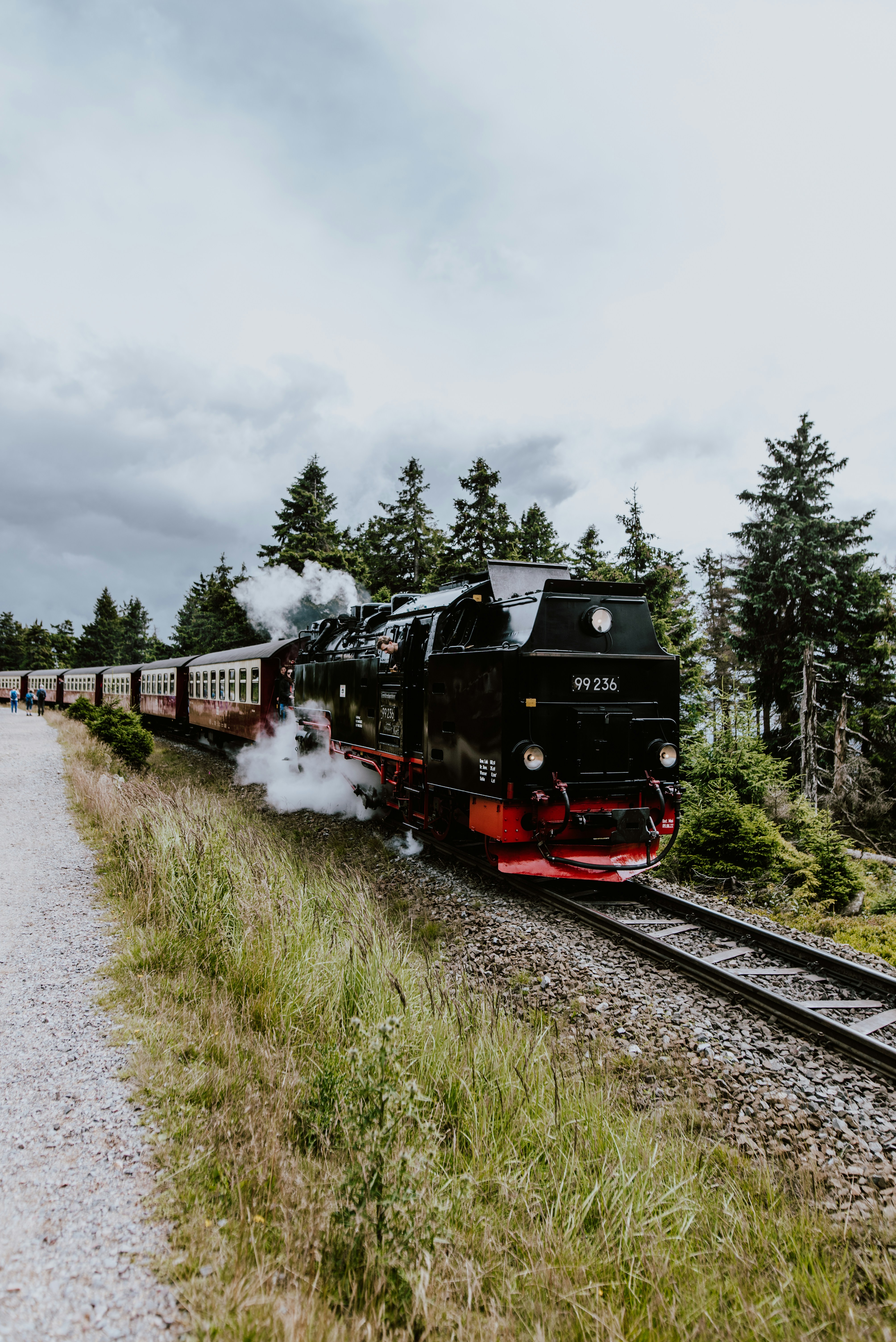a train traveling down train tracks next to a forest