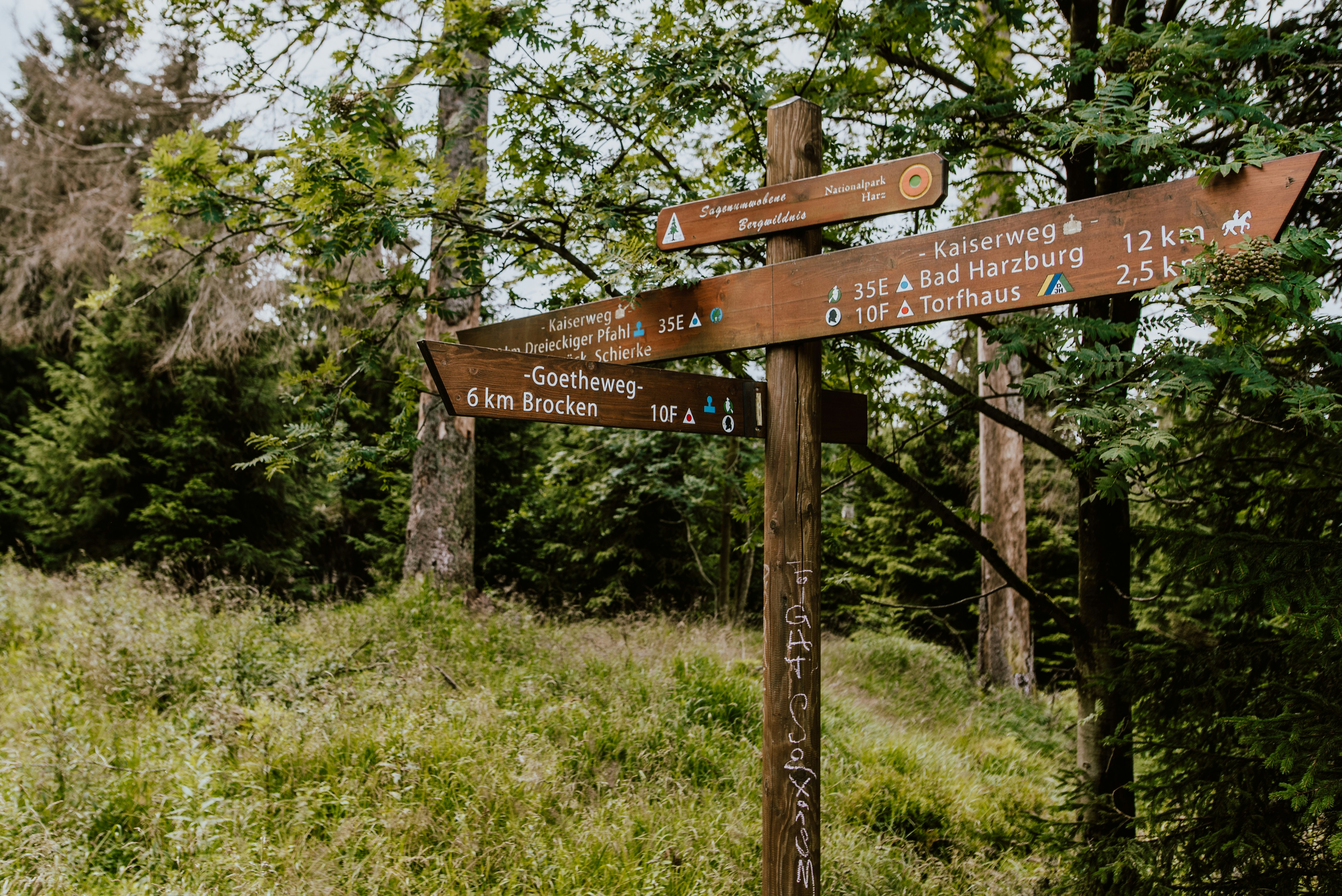 a wooden sign pointing in different directions in the woods