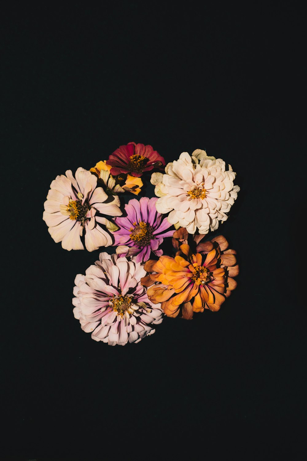 a group of flowers sitting on top of a black surface