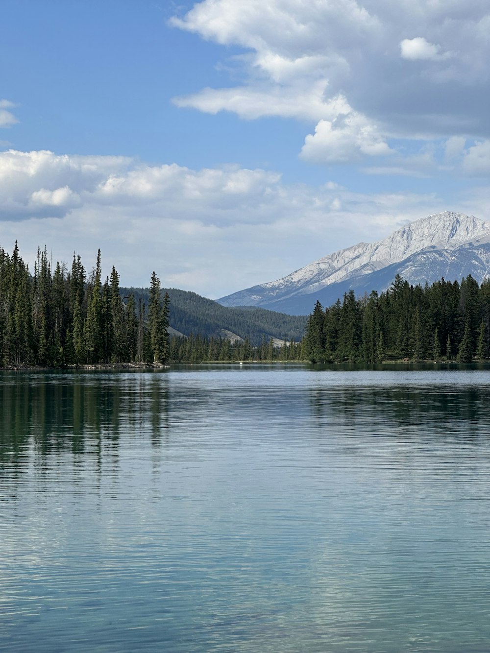 a large body of water surrounded by trees