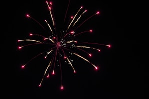 A detailed Feynman diagram illustrating electron-positron annihilation into photons.