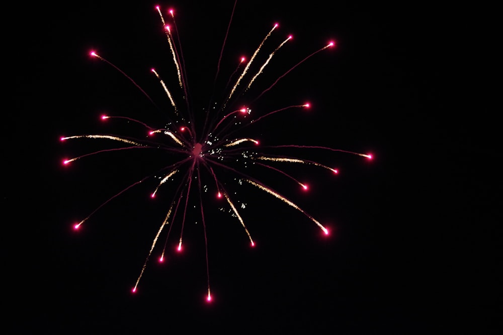 Un grand feu d’artifice est allumé dans le ciel sombre