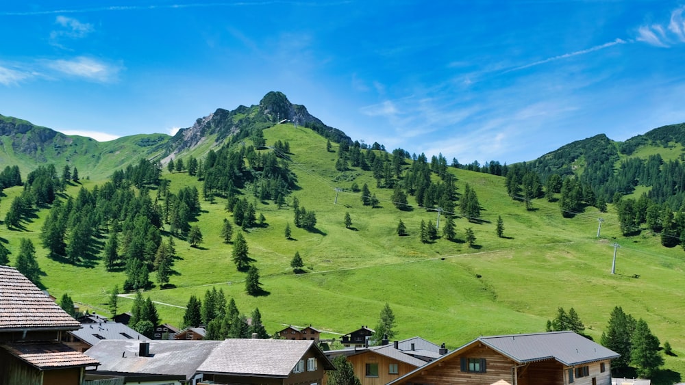 a view of a green mountain with houses in the foreground