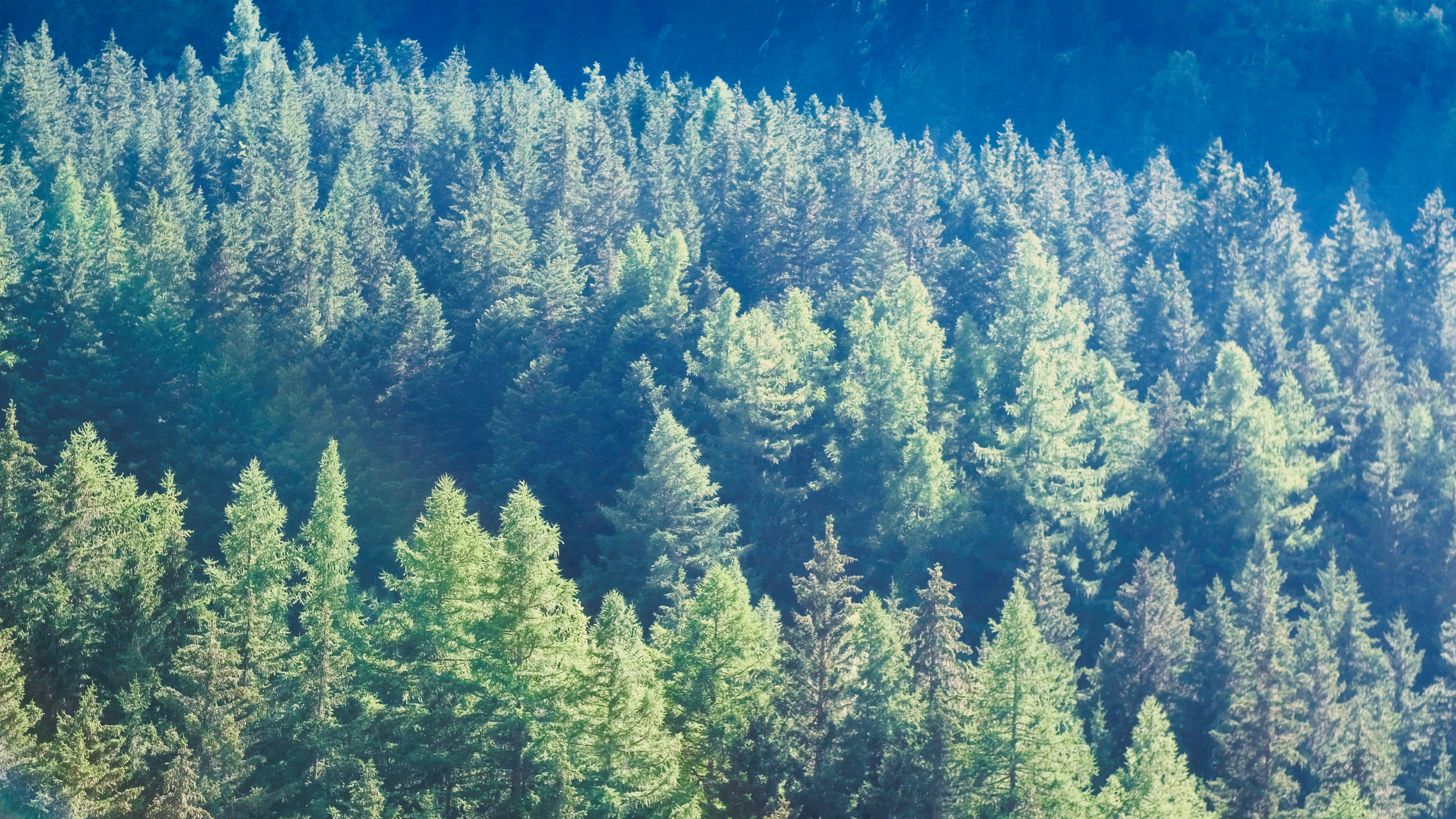 Photo by etienneflorent