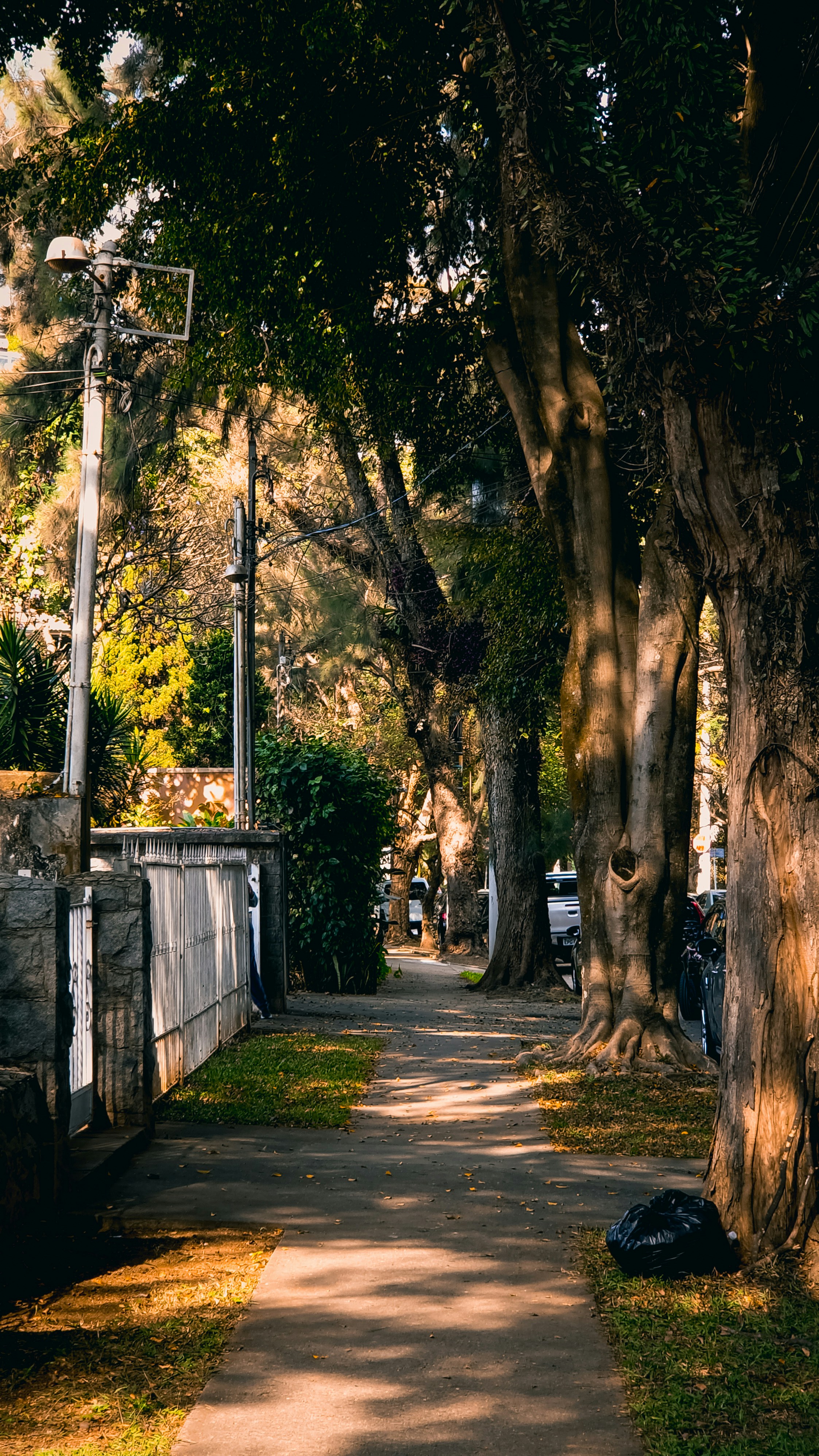 Photo by tomazjabali