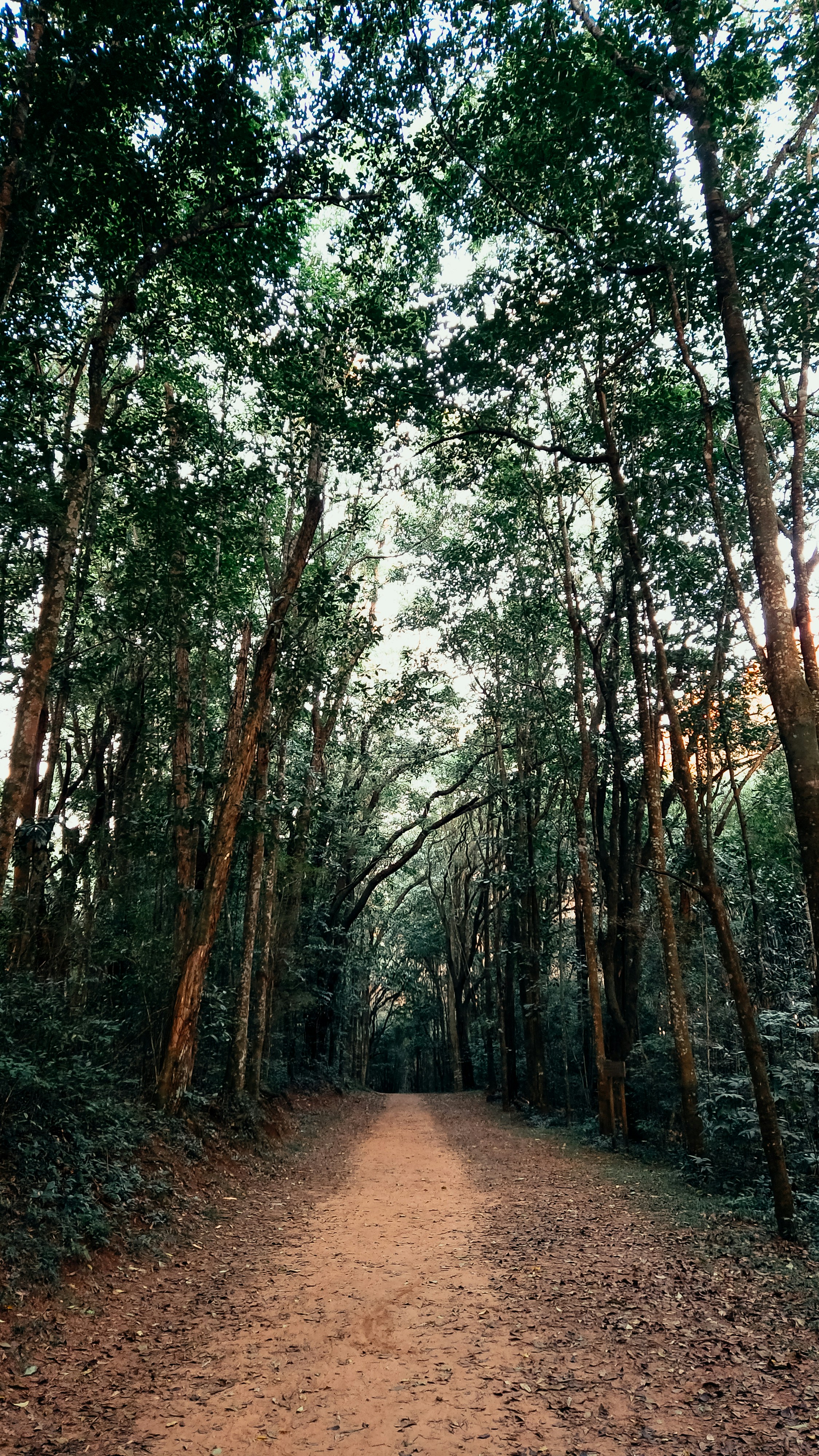 Photo by tomazjabali