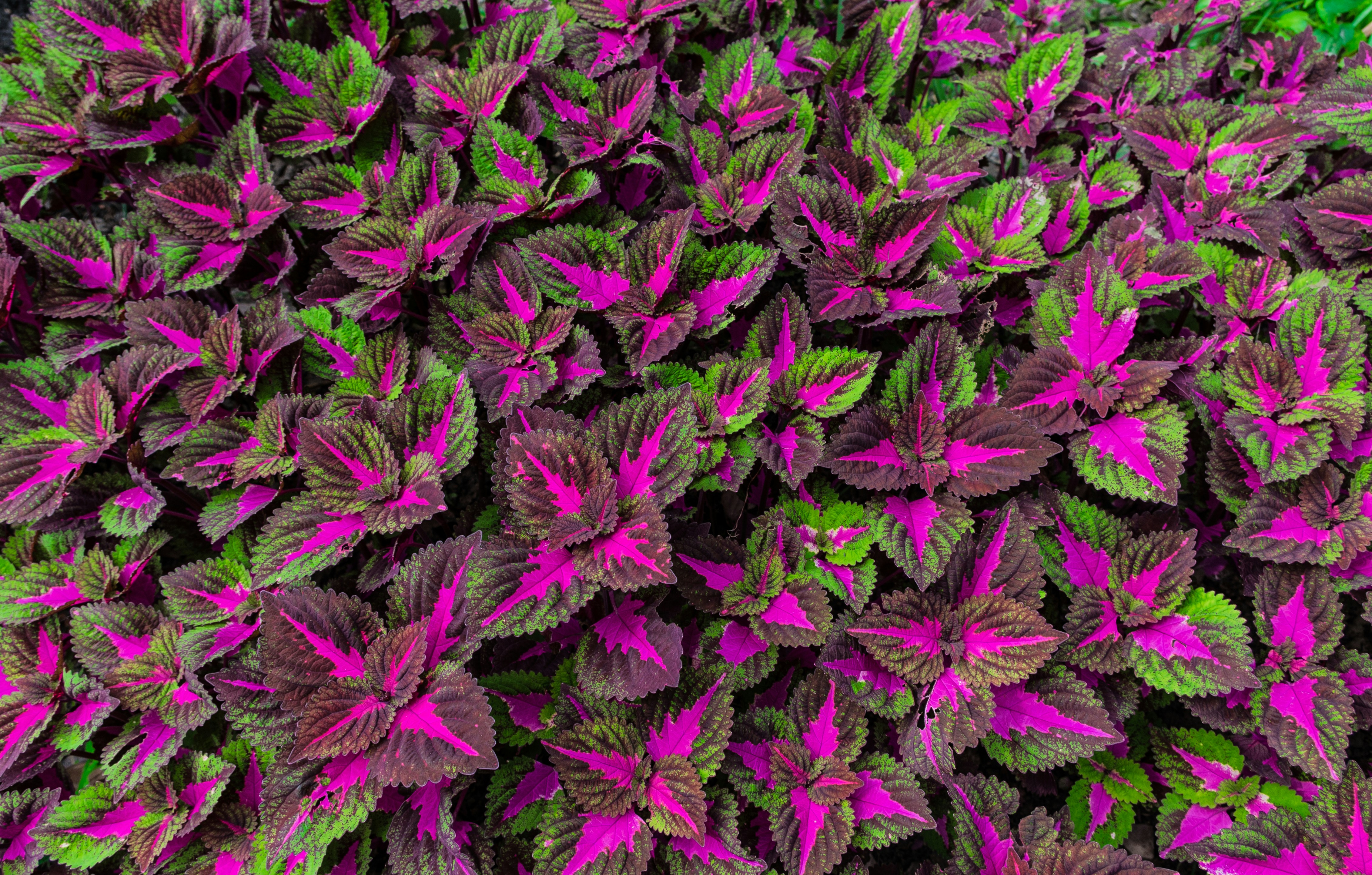 Photo by bigstarworkroom