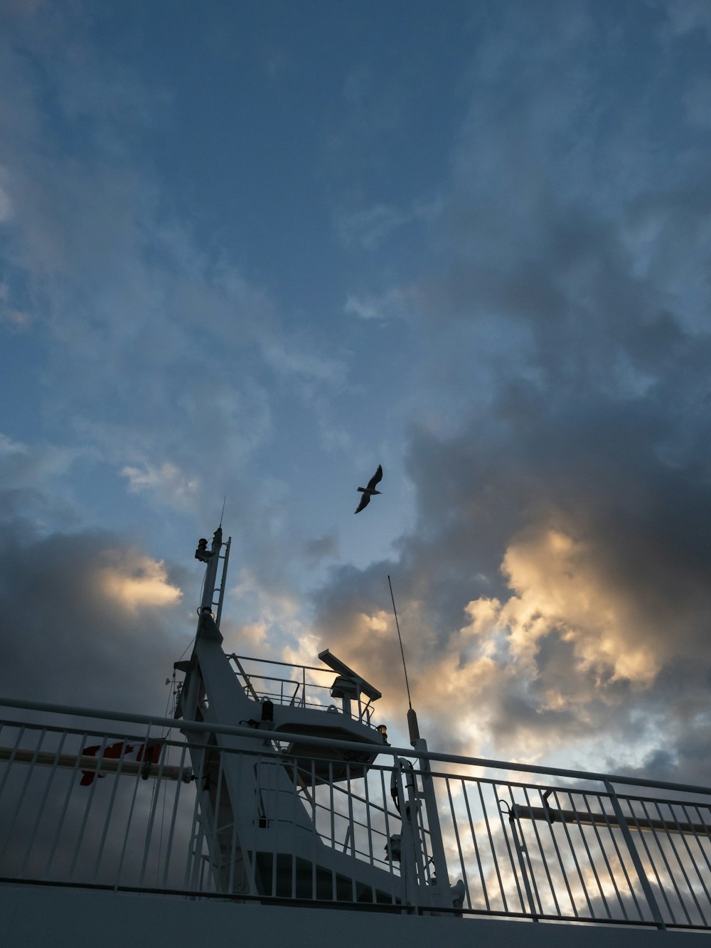 a bird flying over the top of a boat