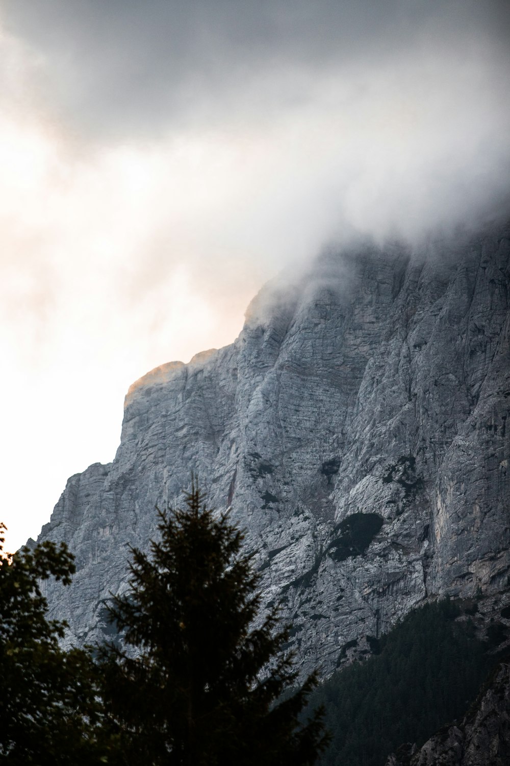 a very tall mountain covered in clouds and trees