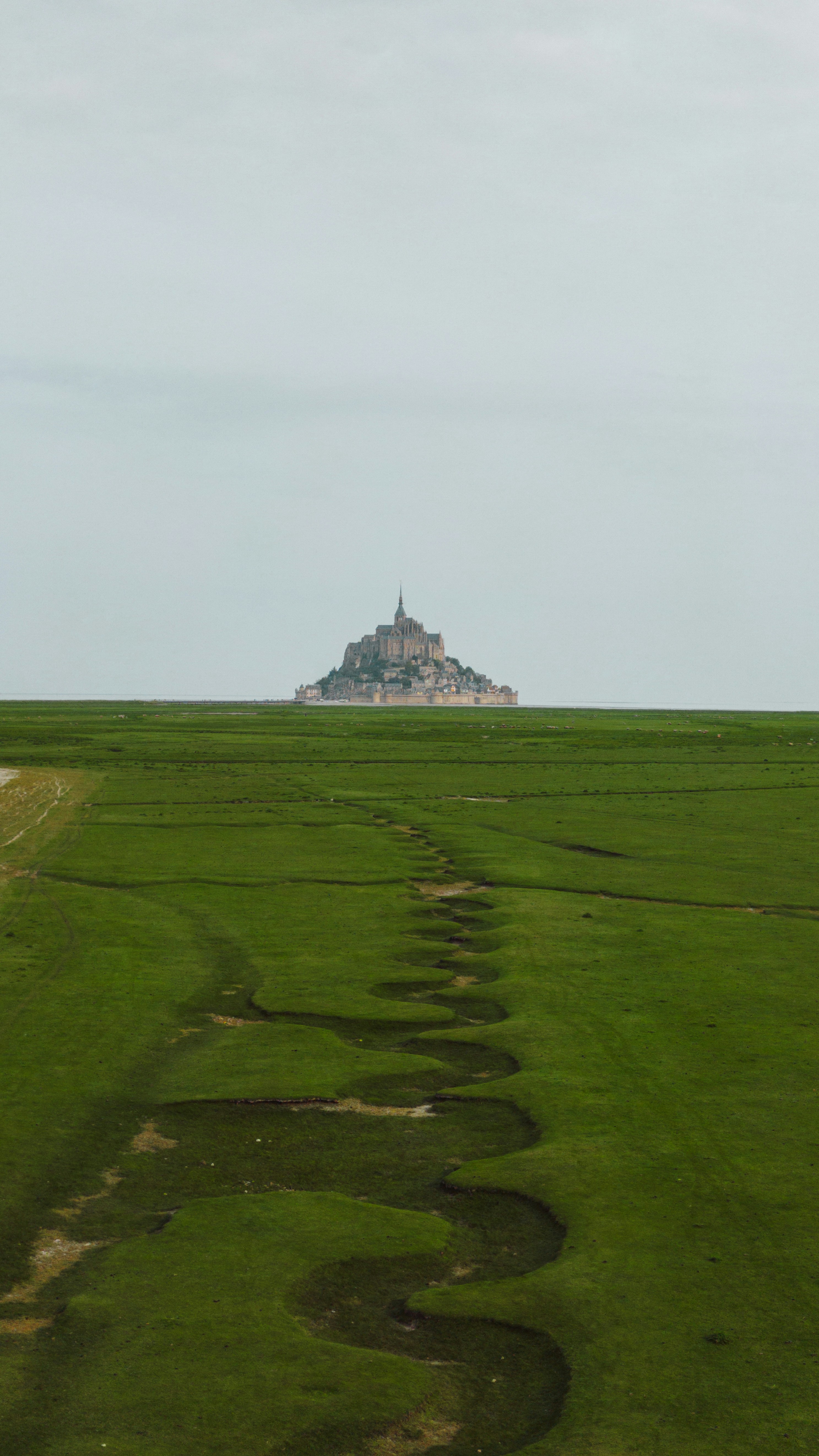 Un campo cubierto de hierba con una pequeña isla en la distancia