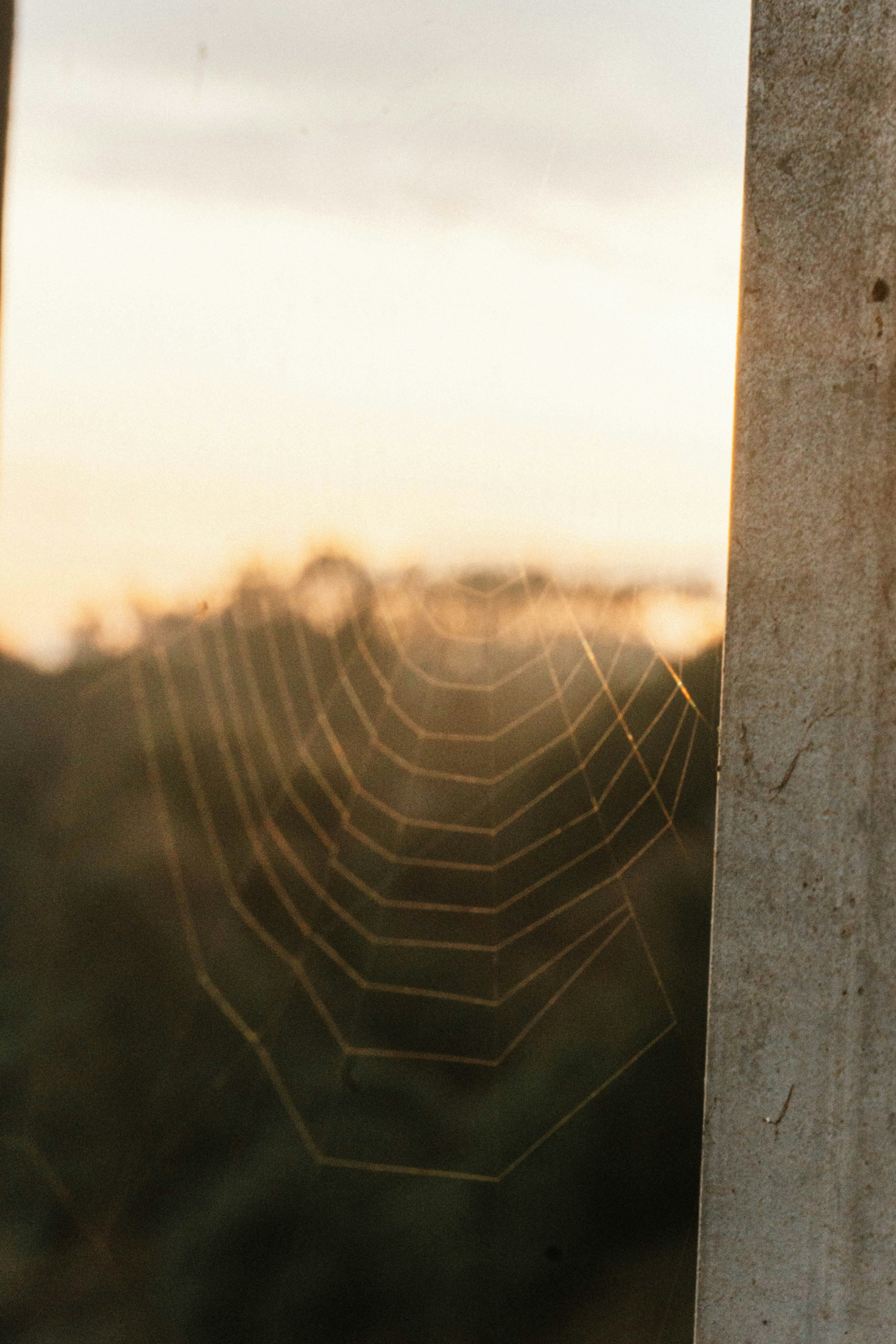 Photo by gustavo0351