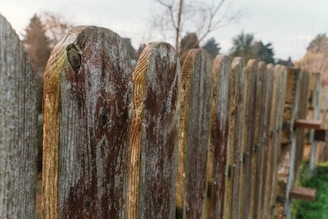 Close-up of a team member removing old fence panels with care and precision.