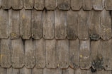 A close-up of rustic shingles contrasting with lush greenery.