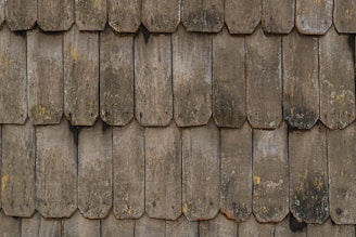 Close-up of hands inspecting a roof’s shingles for wear and tear.