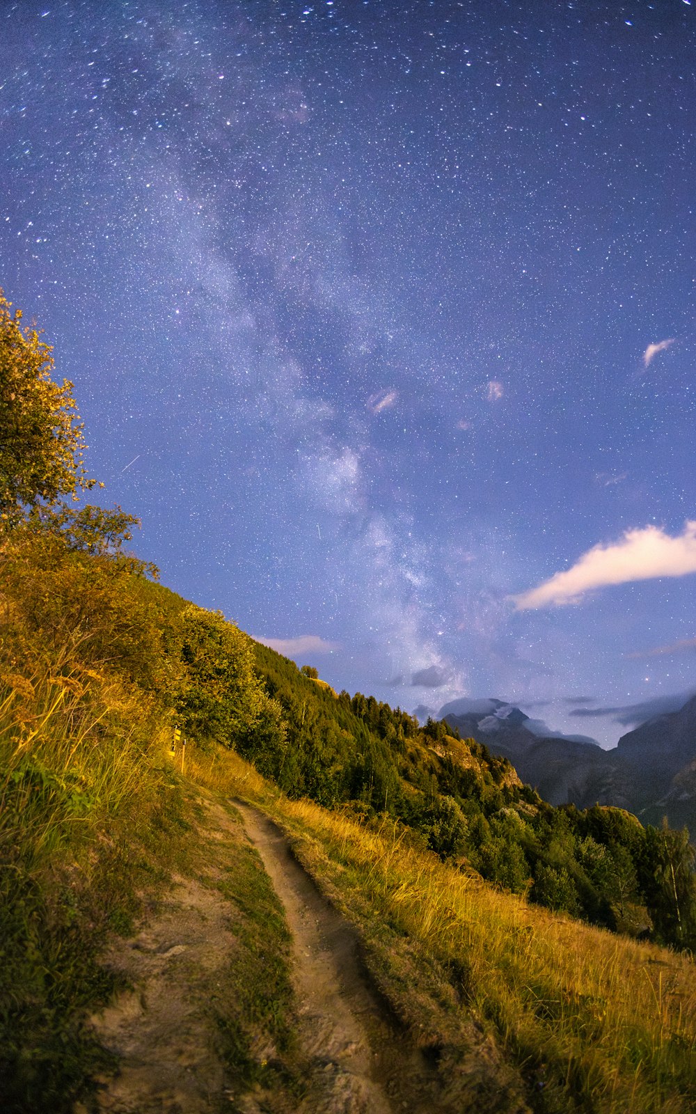 a dirt road going up a hill under a night sky filled with stars
