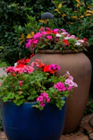a large potted planter filled with colorful flowers