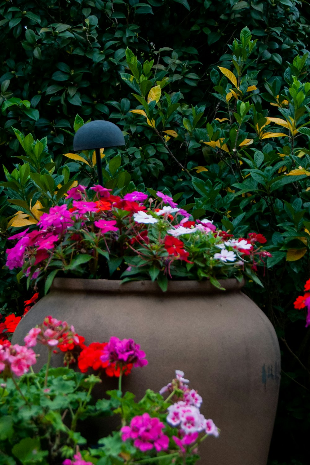 a large vase filled with lots of colorful flowers