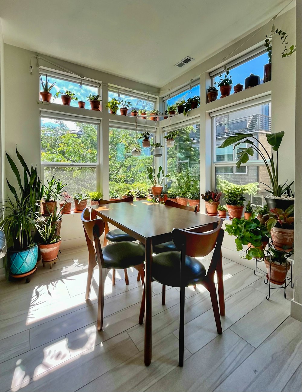 a room with a table, chairs, potted plants and windows