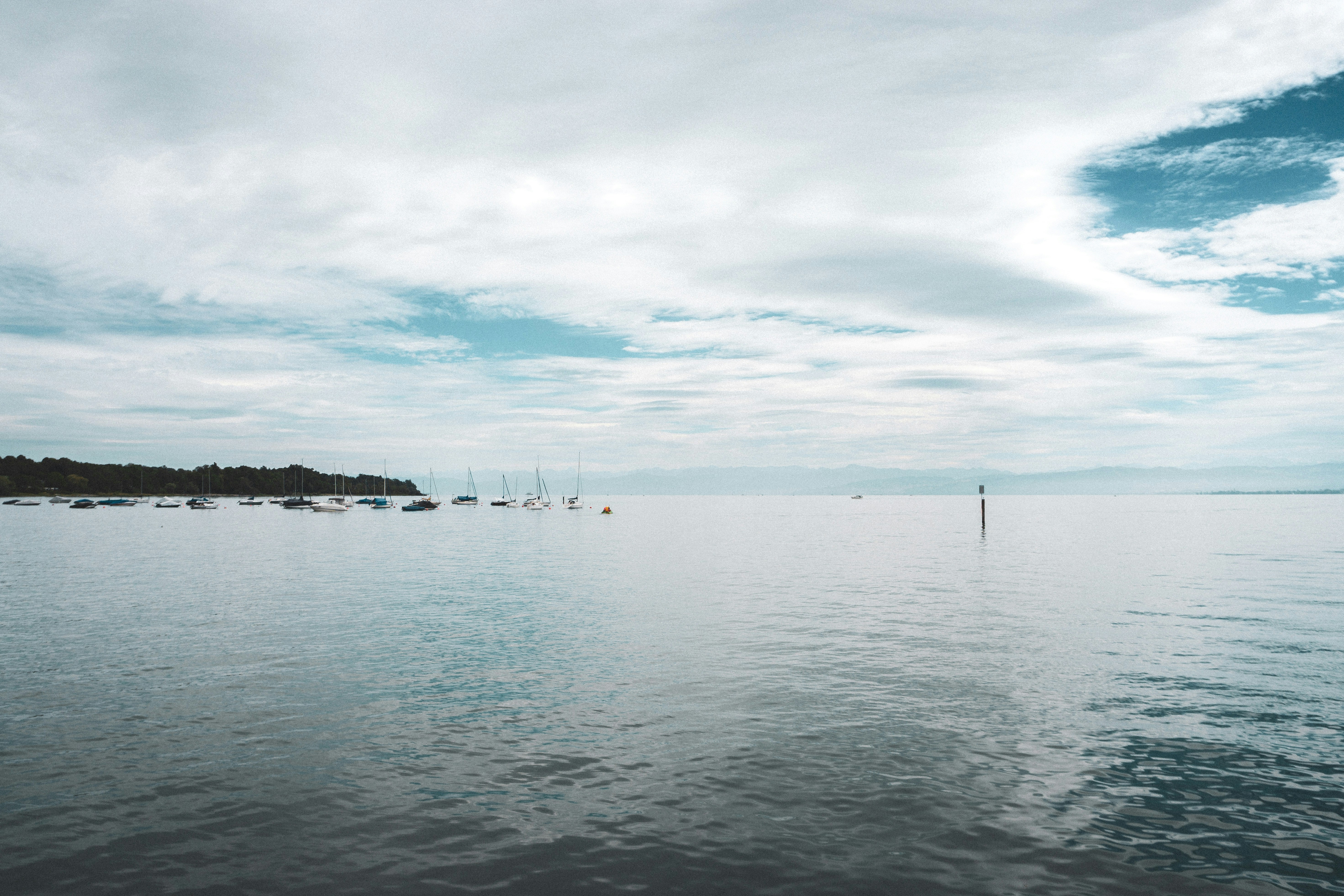 Photo by sindy_suessengut