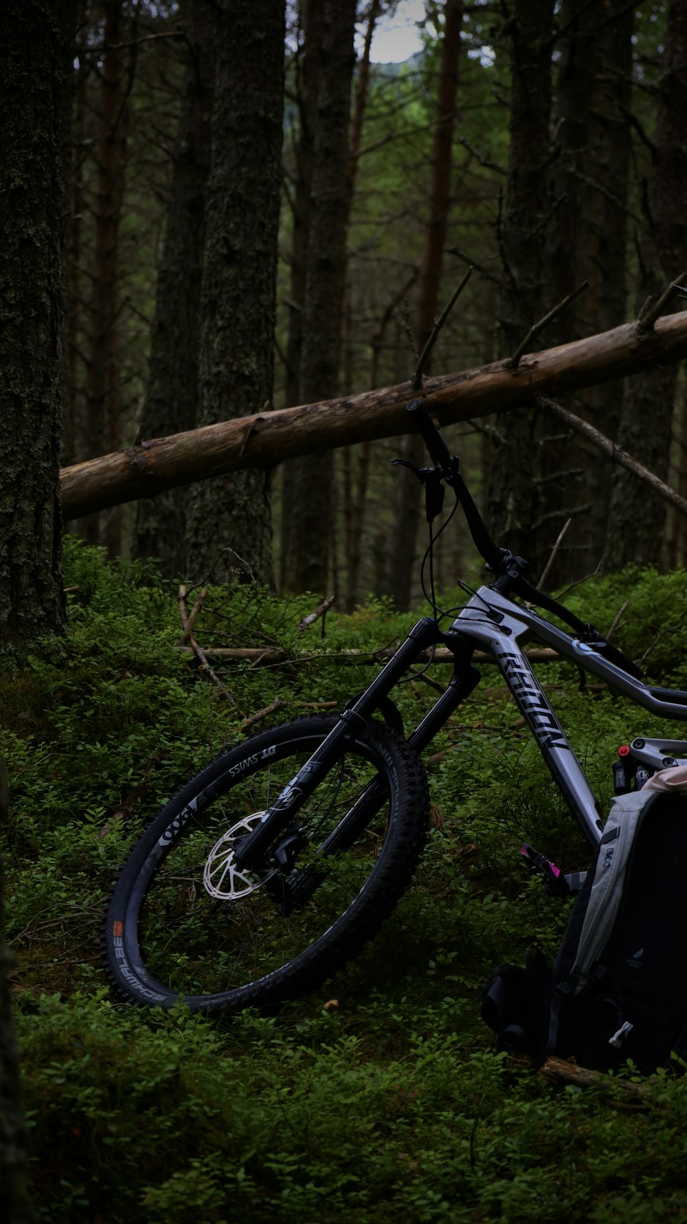a bicycle parked in the middle of a forest