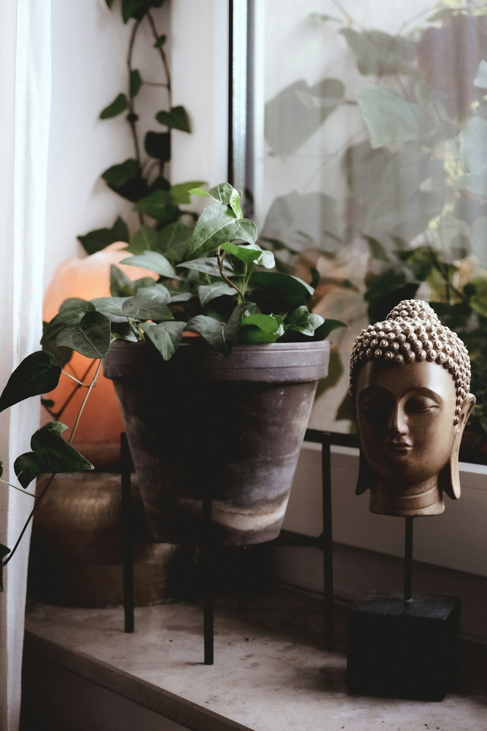 a buddha head sitting on a window sill next to a potted plant