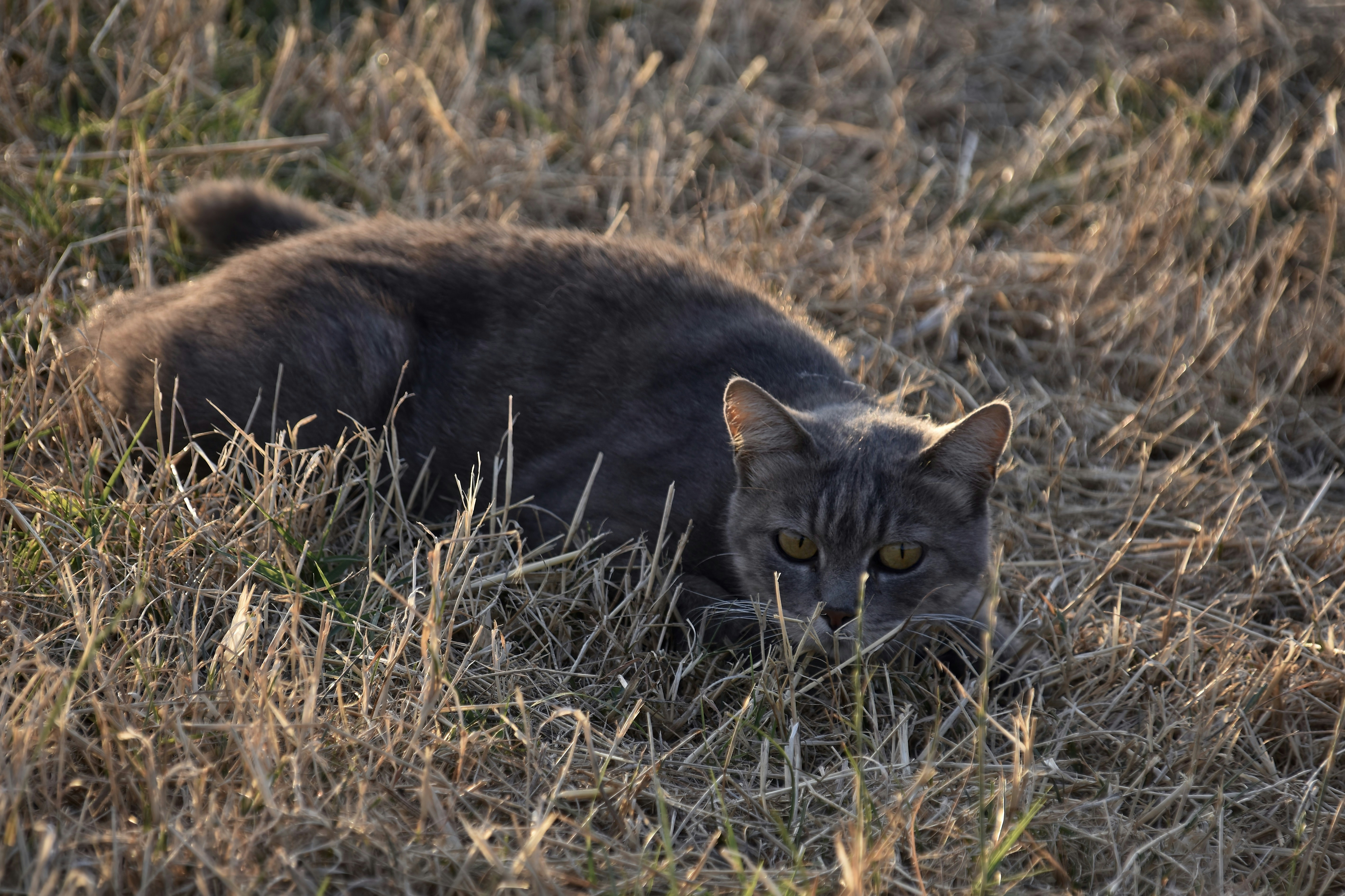 Photo by mariobeducci