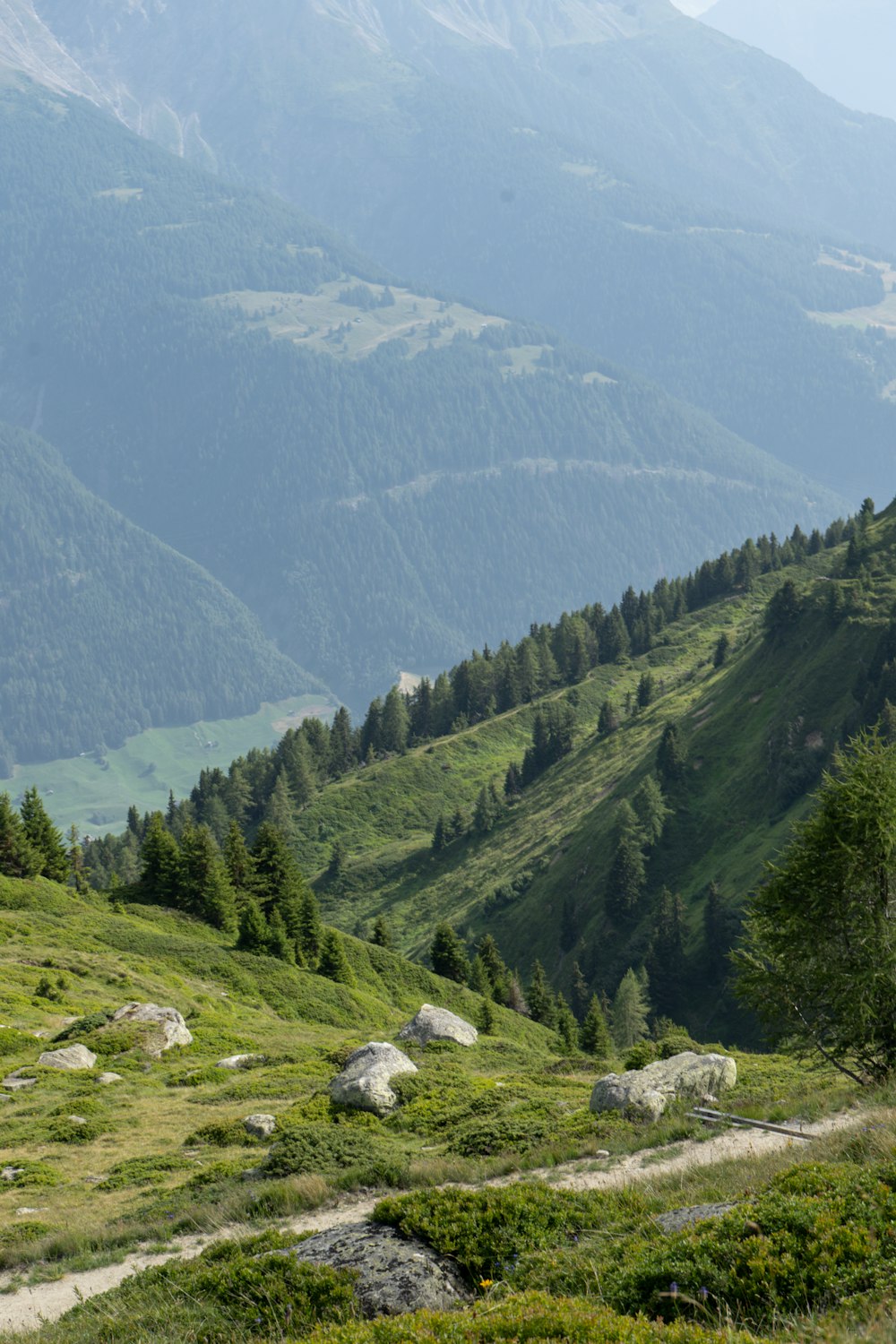 a man riding a horse on top of a lush green hillside