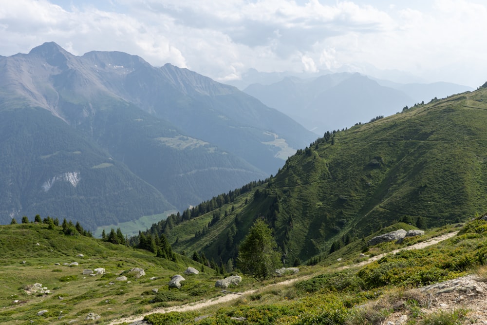 a man riding a bike down a lush green hillside