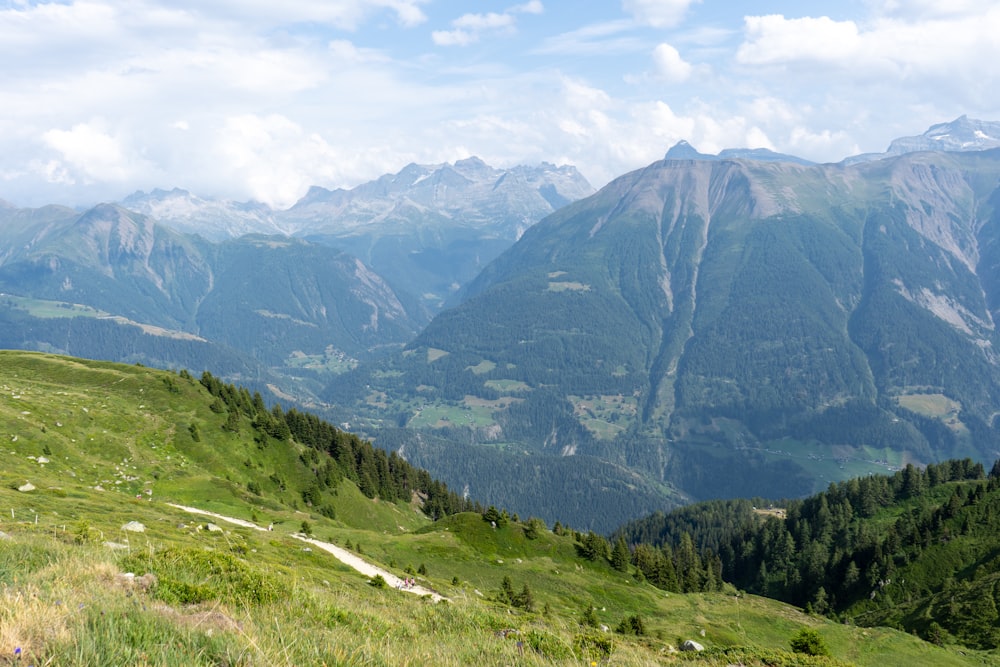 a view of a valley with mountains in the background