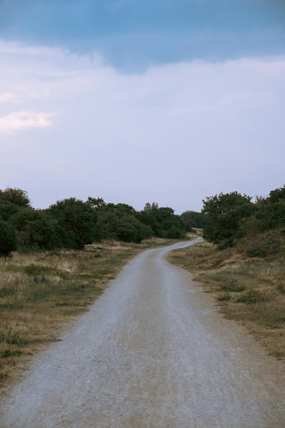 a dirt road in the middle of a field