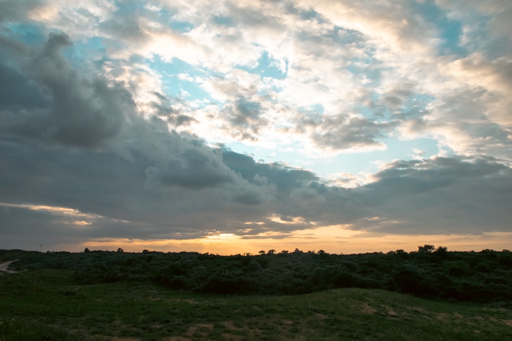 the sun is setting over a grassy field