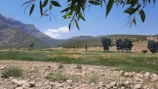 A serene landscape showing the Cuesta stones framed by native cerrado trees and shrubs.