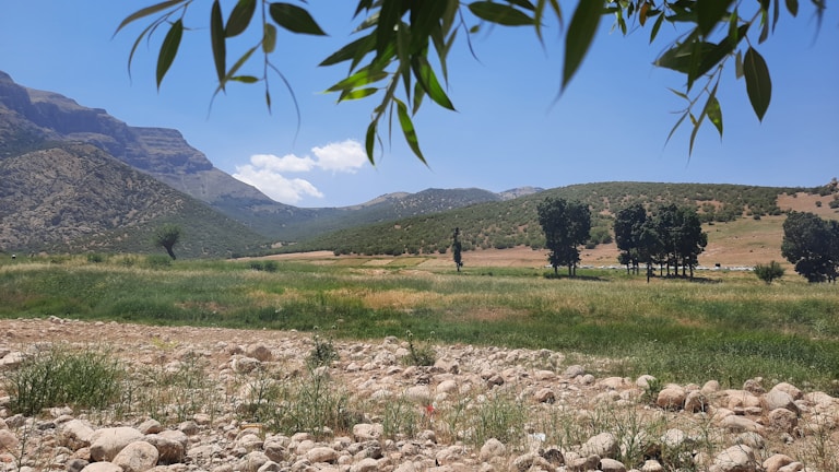 A serene landscape showing the Cuesta stones framed by native cerrado trees and shrubs.