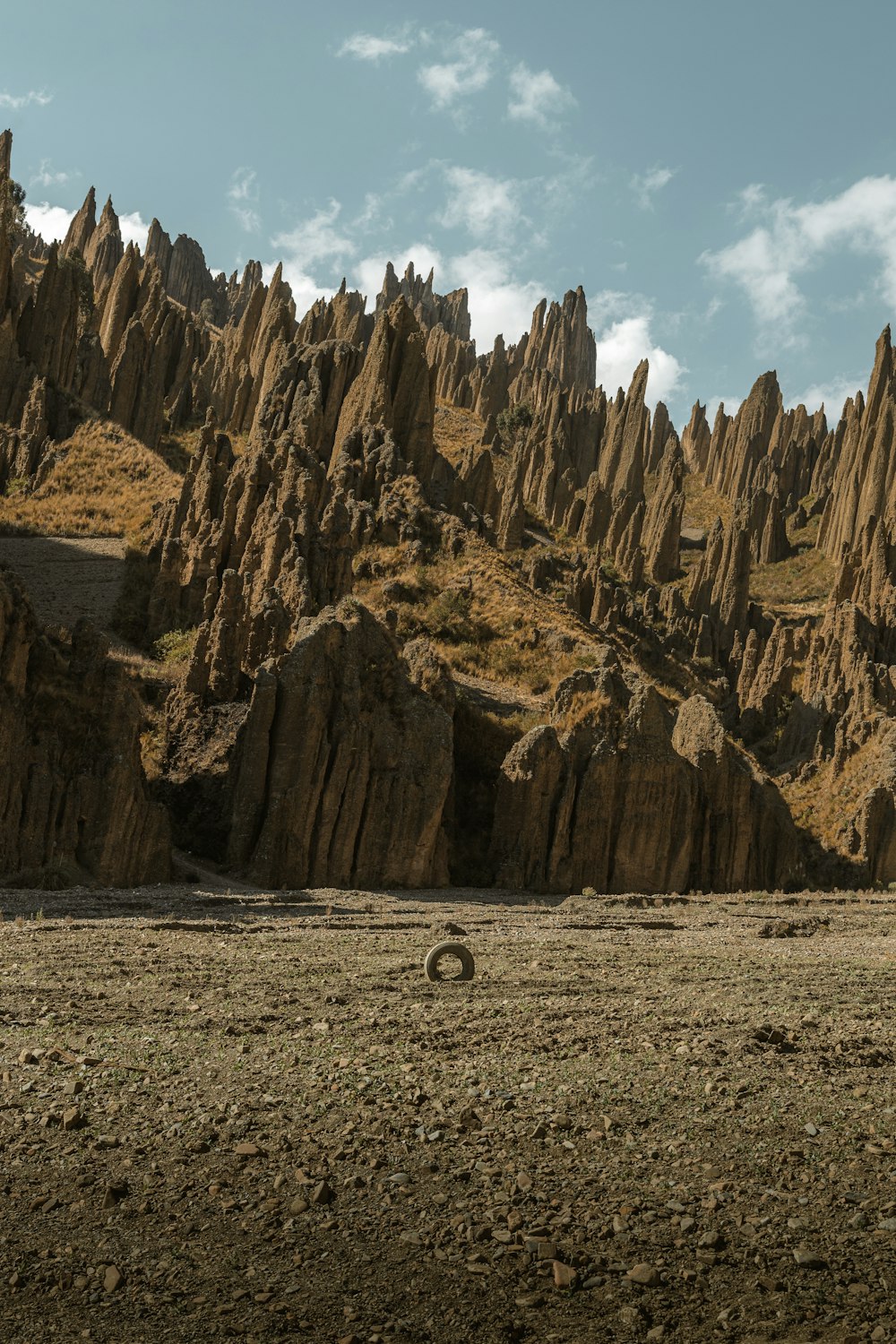 a rocky mountain range with a tire in the foreground