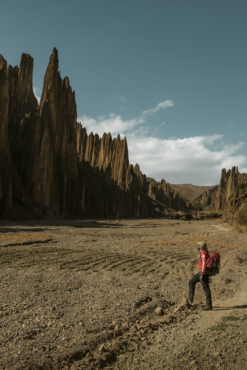 a person with a backpack walking through a desert