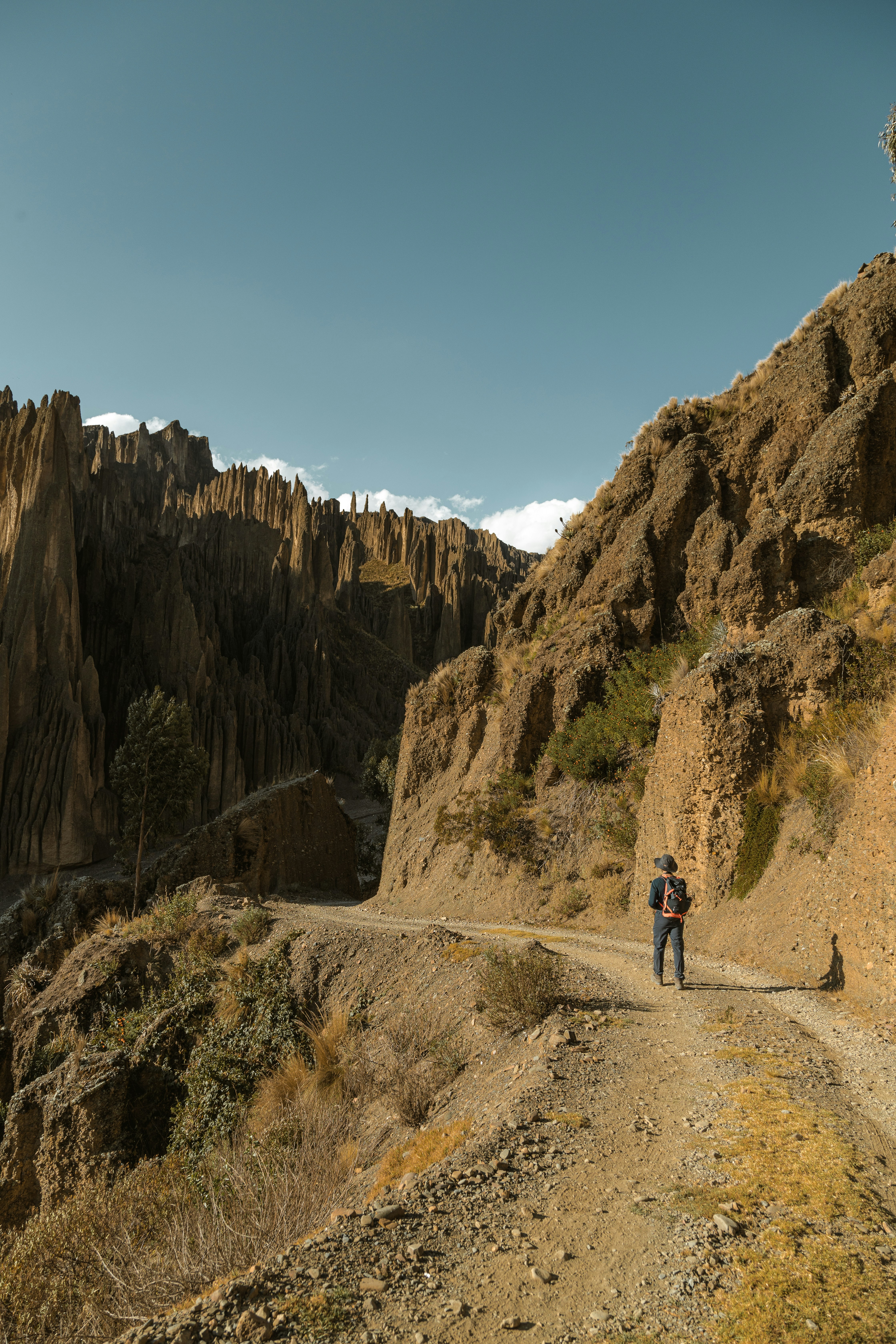 Photo by gabrieluizramos