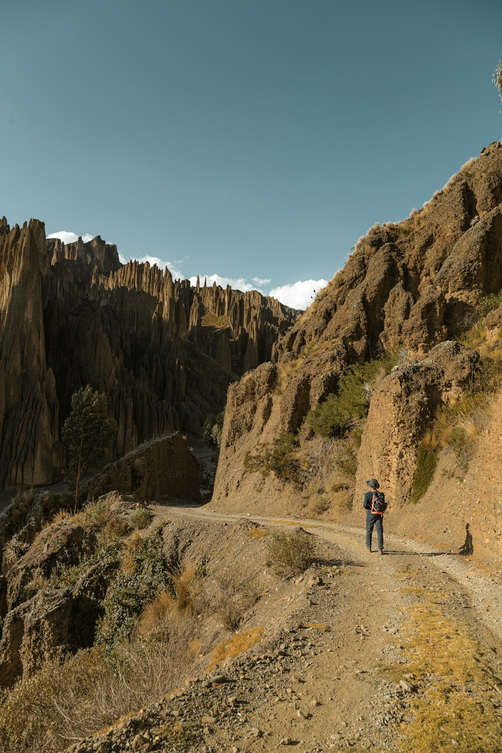 a man walking down a dirt road next to a mountain