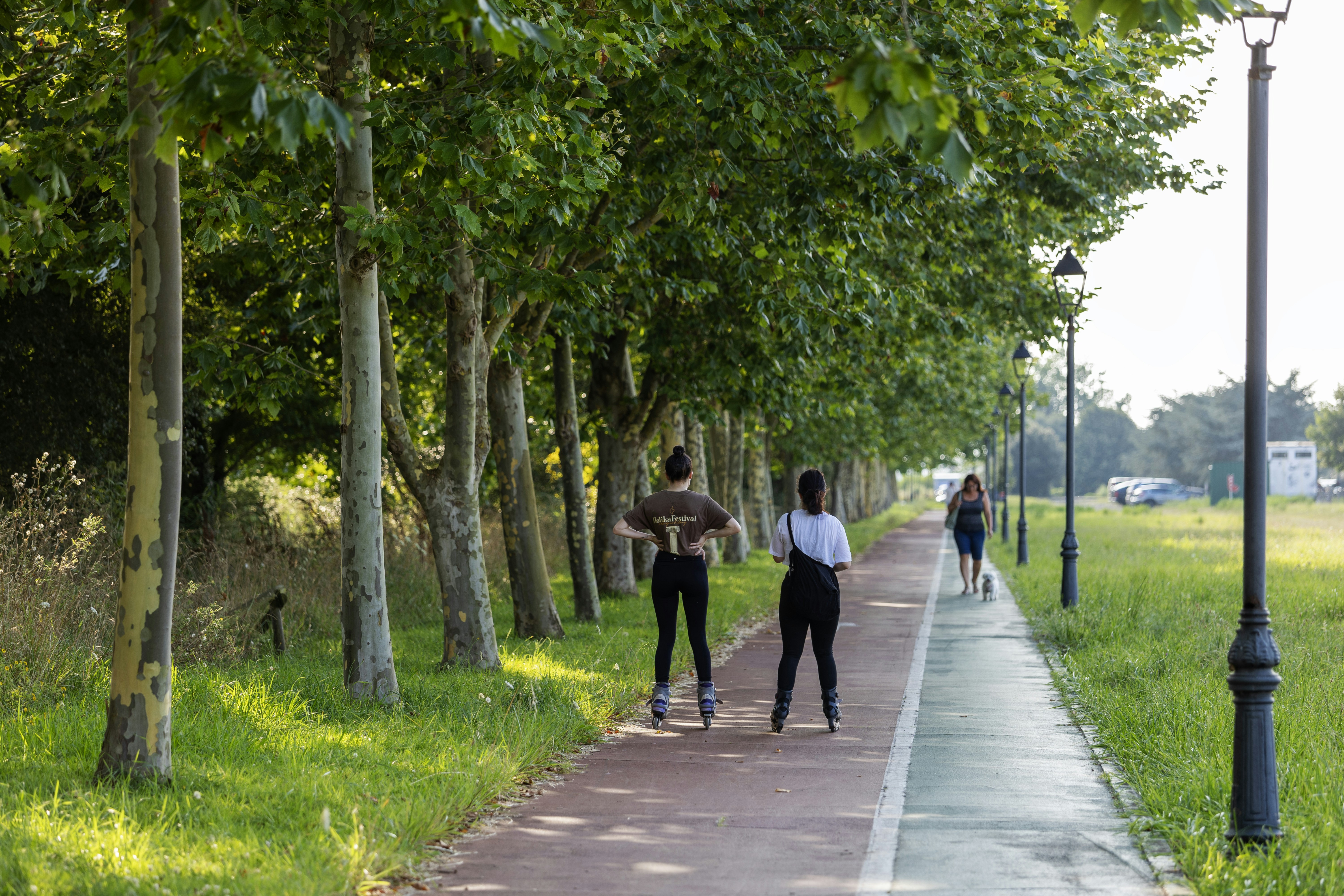 a group of people walking down a sidewalk next to trees