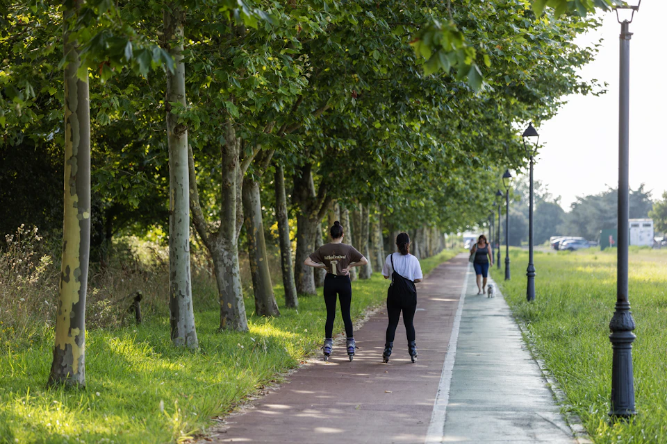 The image depicts a serene park scene with three individuals engaged in different activities. Two people are walking on a red brick path, while another person is riding a skateboard down the same path. The park is lush and green, with trees lining both sides of the path. A lamppost stands on the right side of the image.