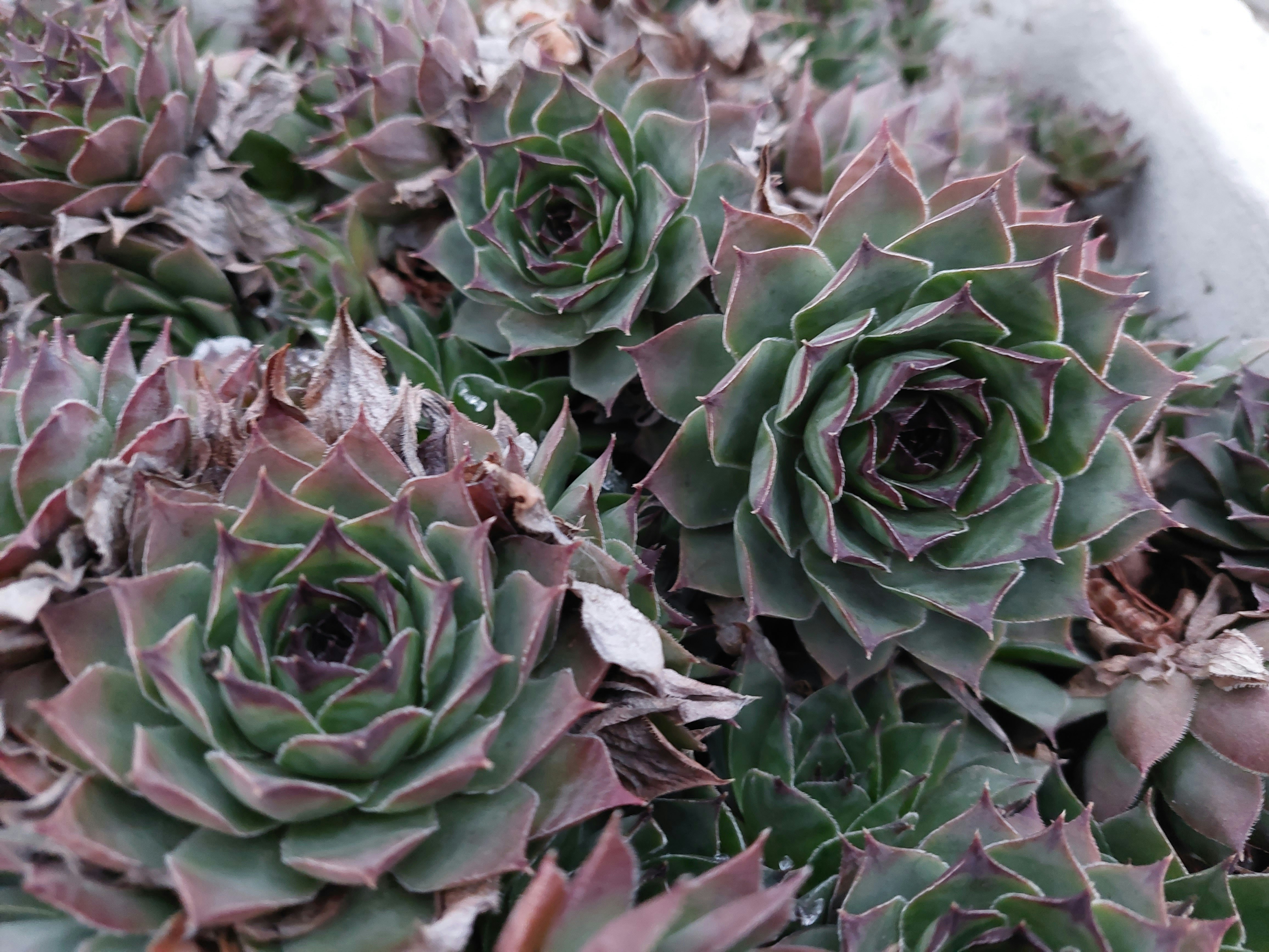 Photo by desislava_ivanova